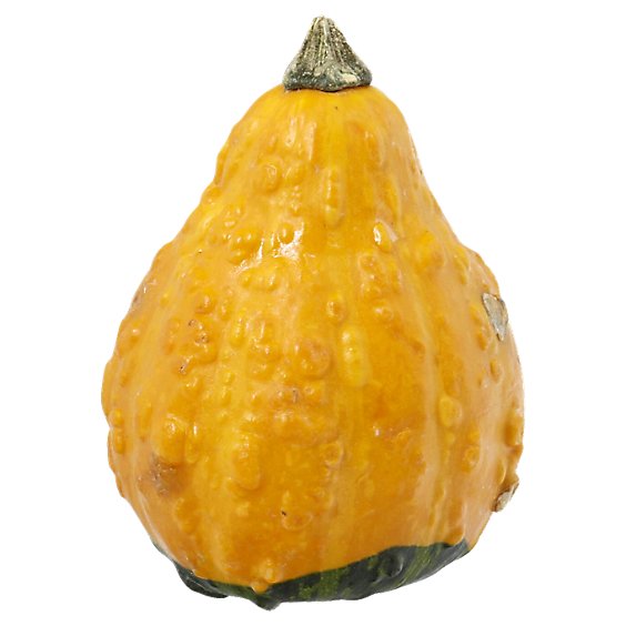 Orange Pumpkin Small/Mini - Weight Between 4-5 Lb