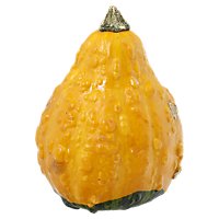 Orange Pumpkin Small/Mini - Weight Between 4-5 Lb - Image 1
