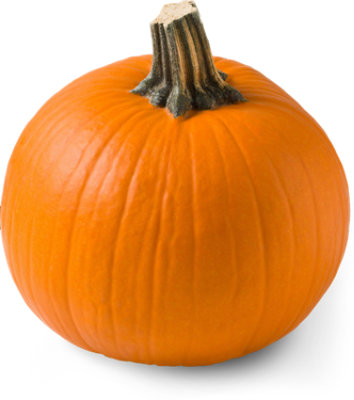 Orange Pie Pumpkin - Weight Between 4-5 Lb - Image 1
