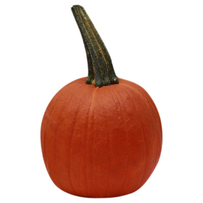 Orange Pie Pumpkin - Weight Between 4-5 Lb