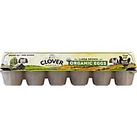 Clover Organic Eggs Large Brown - 12 Count - Image 2