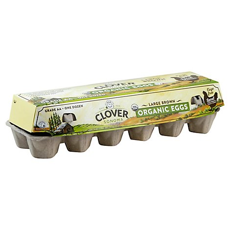 Clover Organic Eggs Large Brown - 12 Count