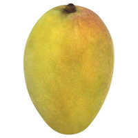 Green Keitt Mango