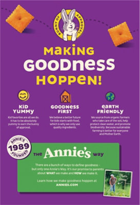 Annies Homegrown Crackers Organic Baked Snack Cheddar Squares  - 7.5 Oz - Image 5