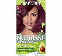 Garnier Nutrisse 42 Deep Burgundy Nourishing Hair Color Creme - Each