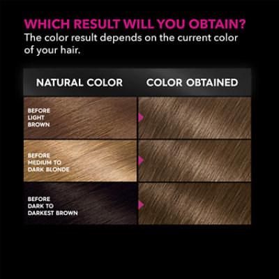 Garnier Olia Oil Powered Ammonia Free Permanent Hair Color 6.0 Light Brown Kit - Each - Image 4