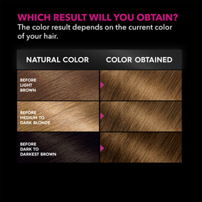 Garnier Olia Oil Powered Ammonia Free Permanent Hair Color 6.3 Light Golden Brown Kit - Each - Image 4