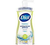 Dial Complete Hand Soap Foaming Antibacterial Soothing White Tea - 7.5 Fl. Oz.