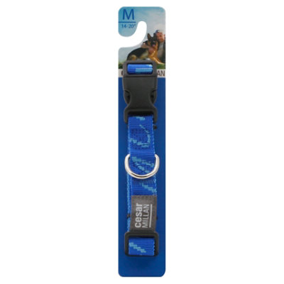 Cesar Millan Collar 14-20 Inch Medium Ocean Pack - Each