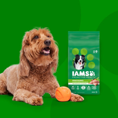 Iams Proactive Health Minichunks Chicken and Whole Grains Small Breed Adult Dry Dog Food - 15 Lbs - Image 5