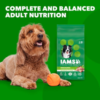 Iams Proactive Health Minichunks with Real Chicken and Whole Grains Adult Dry Dog Food - 30 Lbs - Image 5