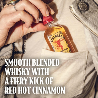 Fireball Hot Cinnamon Blended Whiskey 66 Proof In Plastic Bottle - 50 Ml - Image 1
