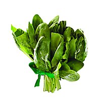 Spinach Curley - Image 1