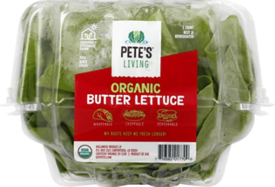 Lettuce Butter Living Organic - Each - Image 2