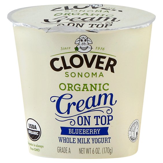 Clover Organic Farms Yogurt Cream On Top Blueberry - 6 Oz