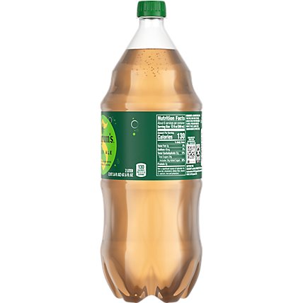 Seagrams Ginger Ale - 2 Liter - Image 6