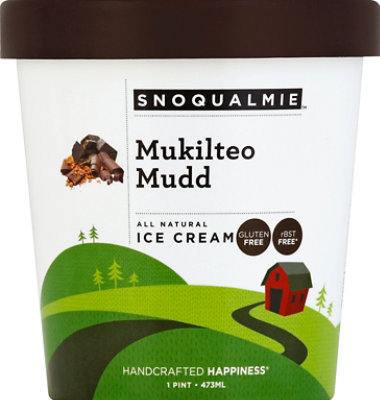Snoqualmie Mukilteo Mudd Ice Cream - 1 Pint - Image 2