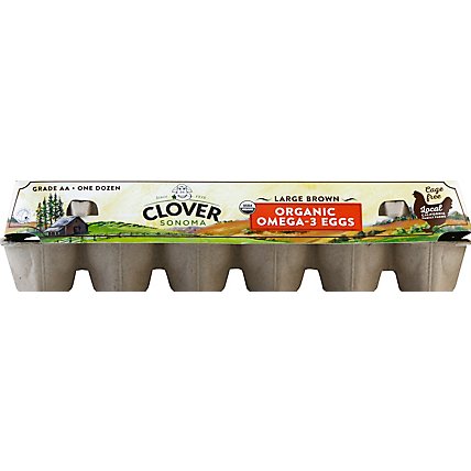 Clover Organic Eggs Omega 3 Large Brown - 12 Count - Image 2