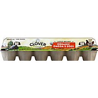 Clover Organic Eggs Omega 3 Large Brown - 12 Count - Image 2