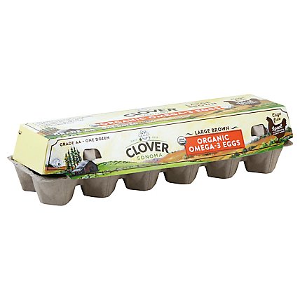 Clover Organic Eggs Omega 3 Large Brown - 12 Count - Image 1