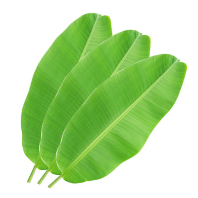 Leaves Banana - 1 Lb - Image 1