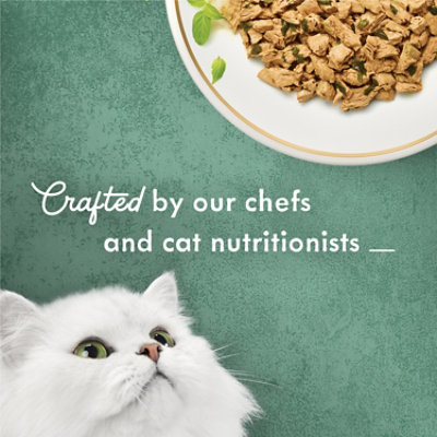 Purina Fancy Feast Medleys Shredded White Meat Chicken With Spinach in Broth - 3 Oz - Image 4