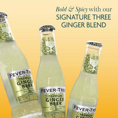 Fever-Tree Ginger Beer Premium - 4-6.8 Oz - Image 3