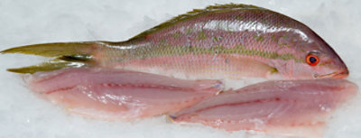 Seafood Counter Fish Snapper Red Whole Dressed Fresh Service Case - 1.50 LB