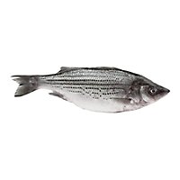 Seafood Counter Fish Bass Striped Whole Dressed Fresh Service Case - 2.00 LB - Image 1