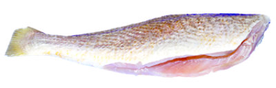 Seafood Service Counter Fish Croaker Whole Previously Frozen - 2.50 LB