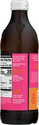 Live Kombucha Soda Raw & Organic Pure Doctor - 12 Fl. Oz. - Image 6