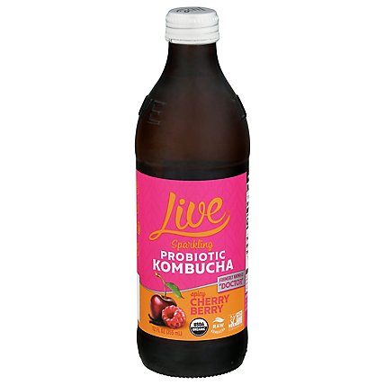 Live Kombucha Soda Raw & Organic Pure Doctor - 12 Fl. Oz. - Image 1
