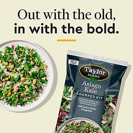 Taylor Farms Asiago Kale Chopped Salad Kit Bag - 9.25 Oz - Image 4