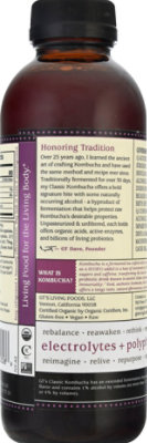 GT's Synergy Divine Grape Kombucha - 16.2 Fl. Oz. - Image 6