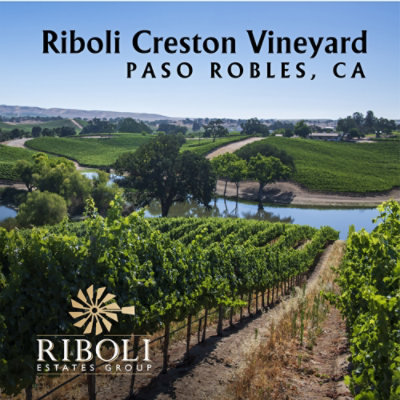 Del Rio Wine Cabernet Sauvignon - 750 Ml - Image 2