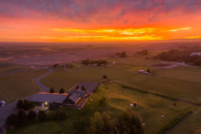 Three Rivers Steel Chardonnay Wine - 750 Ml - Image 2