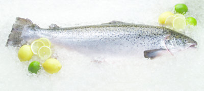 Seafood Counter Fish Salmon Sockeye Whole / Half Fresh