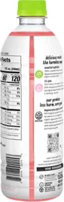 Harmless Harvest Organic Coconut Water - 16 Fl. Oz. - Image 6