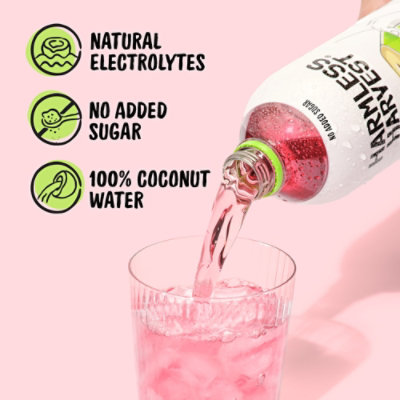 Harmless Harvest Organic Coconut Water - 16 Fl. Oz. - Image 4