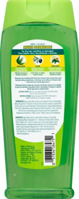 GRISI Aloe Vera Shampoo - 13.5 Fl. Oz. - Image 3