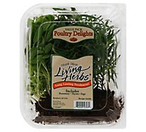 North Shore Living Herbs Poultry Delights Rosemary Thyme Sage Value Pack - 3 Count