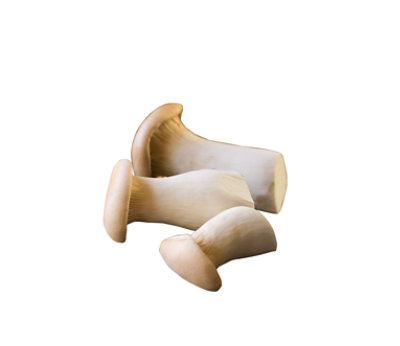 Mushrooms King Trumpet Organic - 9.7 Oz