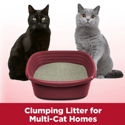 ARM & HAMMER Clump & Seal Multi Cat Litter - 14 Lb - Image 4