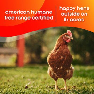 Happy Egg Co. Eggs Free Range Large - 12 Count - Image 2