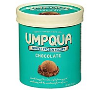 Umpqua Premium Non Fat Chocolate Frozen Yogurt - 1.75 Quart