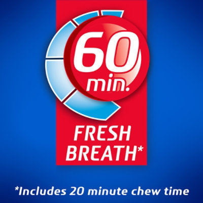 Dentyne Ice Gum Winter Chill Sugar Free - 16 Count - Image 5