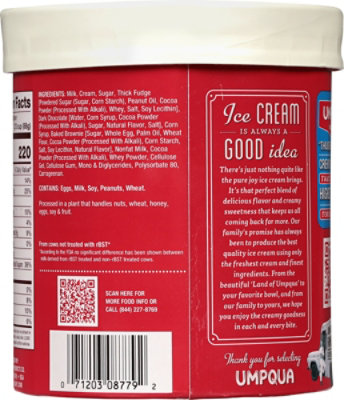 Umpqua Ice Cream Chocolate Brownie Thunder - 1.75 Quart - Image 6