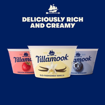 Tillamook Low Fat Oregon Blueberry Greek Yogurt - 5.3 Oz - Image 4