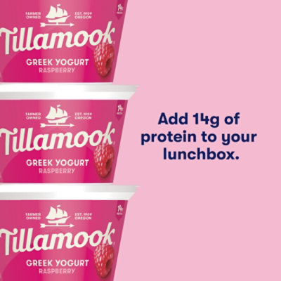 Tillamook Raspberry Greek Yogurt - 5.3 Oz - Image 3