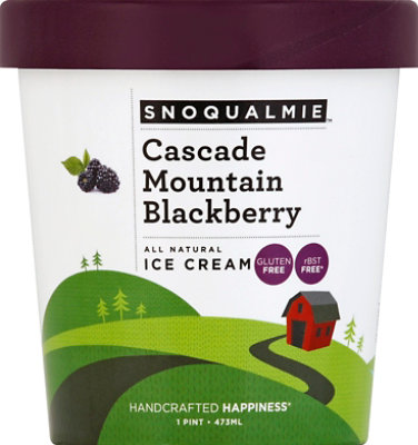 Snoqualamie Cascade Mountain Blackberry Ice Cream - 1 Pint - Image 2